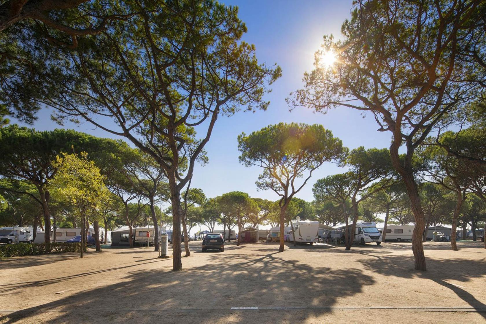 Camping Bella Terra Blanes Eksteriør billede